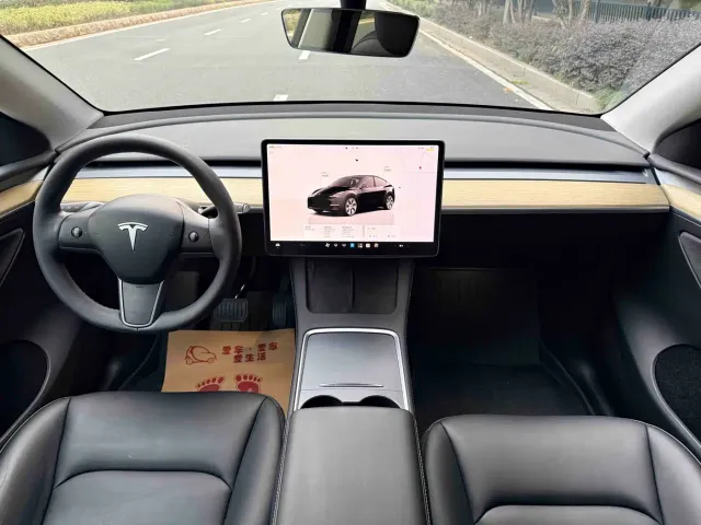 Tesla Model Y — Фото автомобиля 13