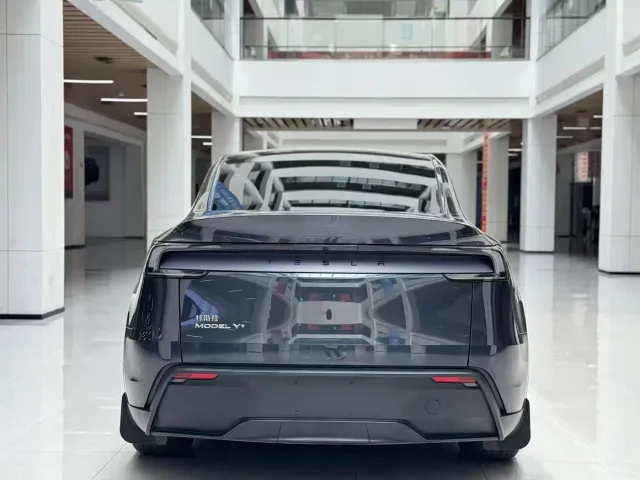 Tesla Model Y — Фото автомобиля 6