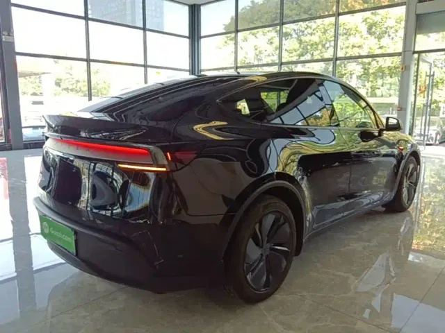 Tesla Model Y — Фото автомобиля 6