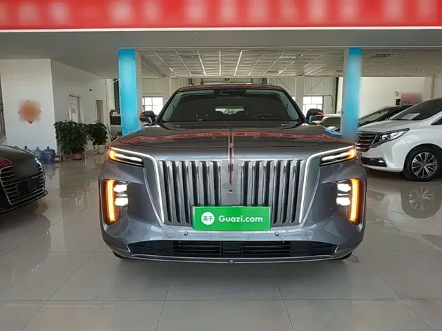 Hongqi E-HS9 — Фото автомобиля 2