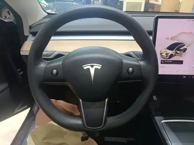 Tesla Model 3 — Фото автомобиля 10