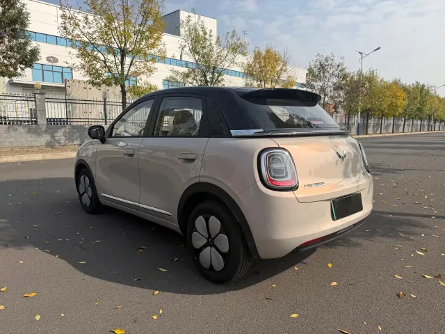 Wuling Binguo Pro — Фото автомобиля 11