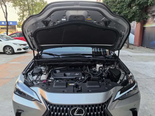 Lexus NX — Фото автомобиля 18