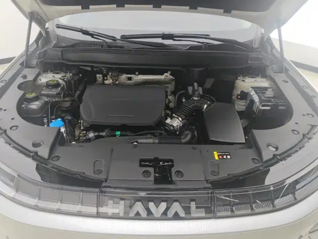 Haval Xiaolong MAX — Фото автомобиля 10