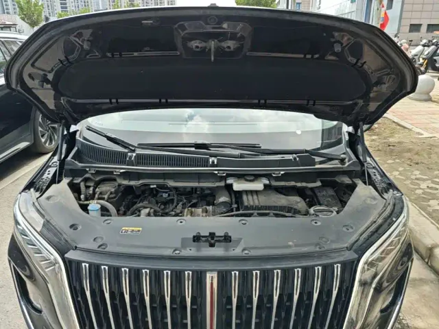 Hongqi HQ9 PHEV — Фото автомобиля 19