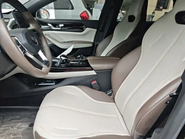 BYD Qin PLUS — Фото автомобиля 16
