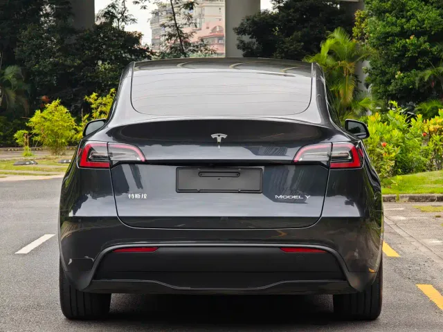 Tesla Model Y — Фото автомобиля 5