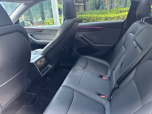 Tesla Model Y — Фото автомобиля 9