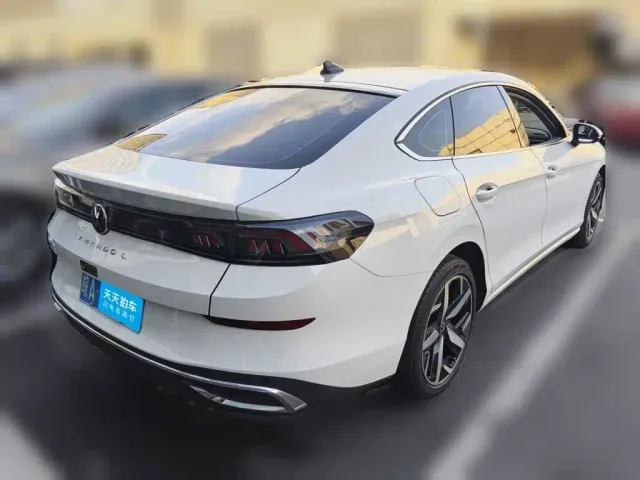 Volkswagen Lamando — Фото автомобиля 2