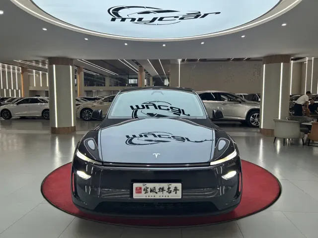 Tesla Model Y — Фото автомобиля 2