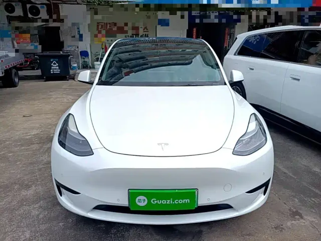 Tesla Model Y — Фото автомобиля 2