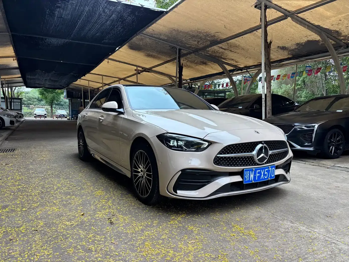 Mercedes-Benz Mercedes-Benz C-Class 2025 C 260 L Sport Edition — Фото автомобиля 2