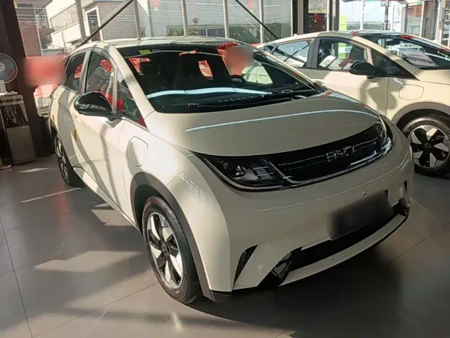 BYD Dolphin — Фото автомобиля 3