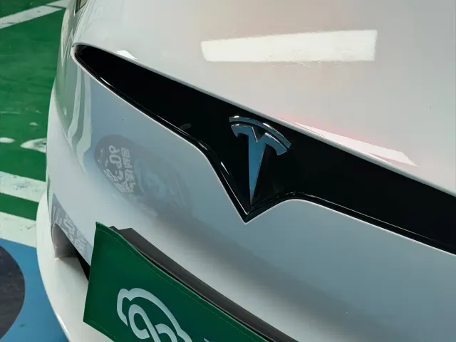 Tesla Model X — Фото автомобиля 5