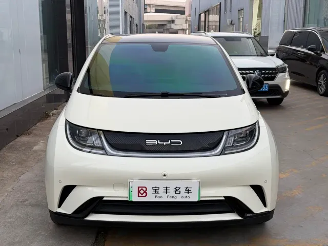 BYD Dolphin — Фото автомобиля 2
