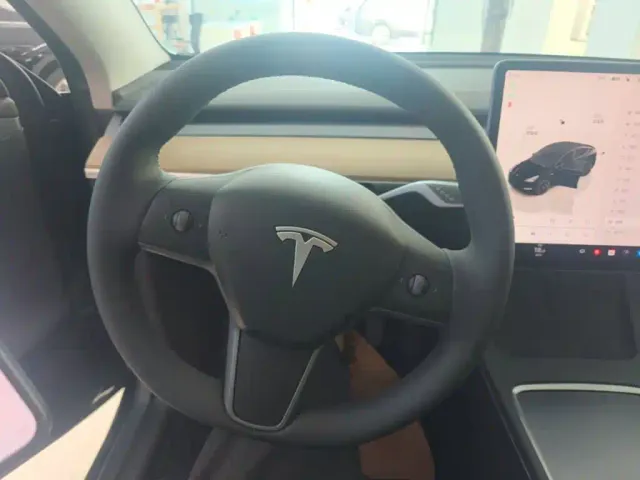 Tesla Model Y — Фото автомобиля 10