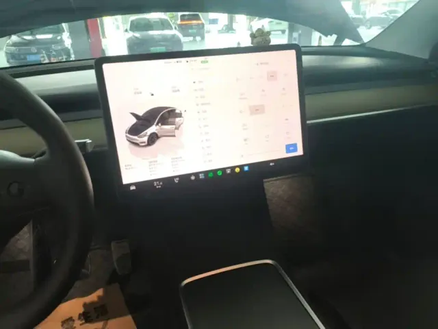 Tesla Model Y — Фото автомобиля 12