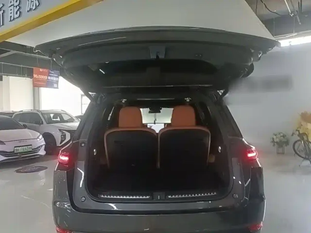 Li Auto L9 — Фото автомобиля 18