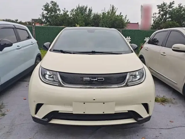 BYD Dolphin 2023 420km Fashion Edition — Фото автомобиля 2