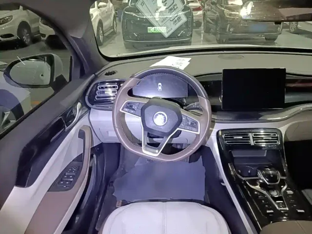 BYD Qin PLUS — Фото автомобиля 10
