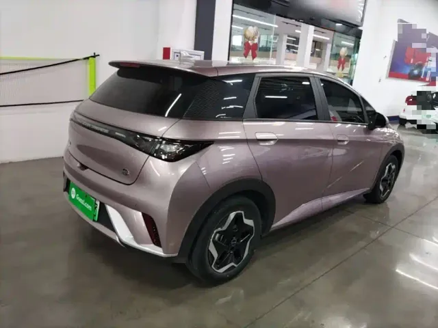 BYD Dolphin — Фото автомобиля 4