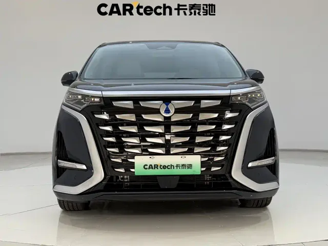Denza Denza D9 2022 DM-i 970 All-Wheel Drive Honor Edition — Фото автомобиля 3