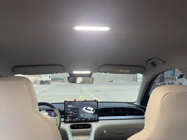Geely Starry Wish — Фото автомобиля 13