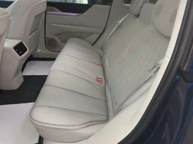 Buick Electra L7 — Фото автомобиля 16