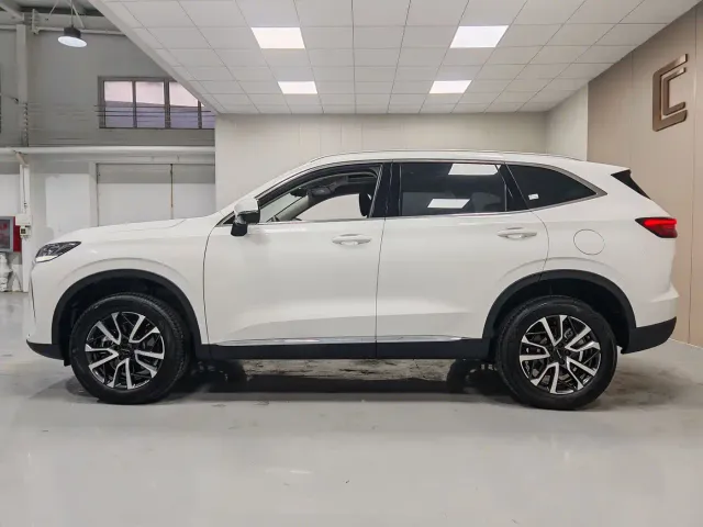 Haval H6 — Фото автомобиля 14