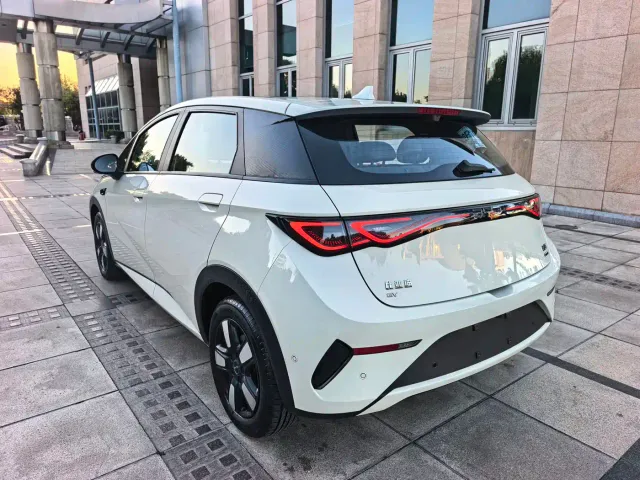 BYD Dolphin — Фото автомобиля 4