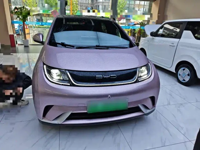 BYD Dolphin — Фото автомобиля 2