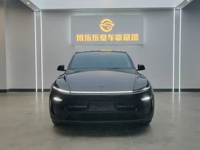 Tesla Model Y — Фото автомобиля 2