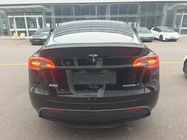 Tesla Model Y — Фото автомобиля 5