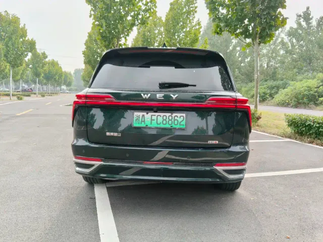 WEY Wey Lanshan 2023 2WD Long Range Edition — Фото автомобиля 15