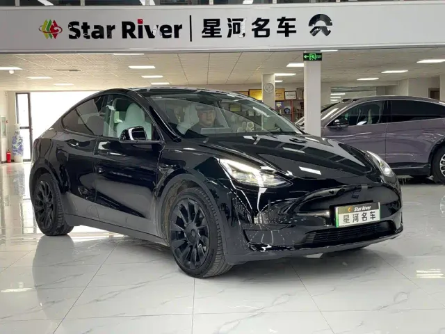 Tesla Model Y — Фото автомобиля 3