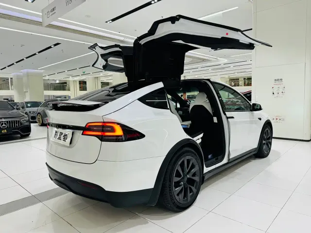 Tesla Model X — Фото автомобиля 3