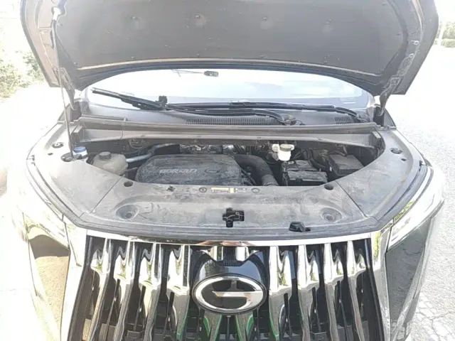 GAC Trumpchi M8 — Фото автомобиля 19