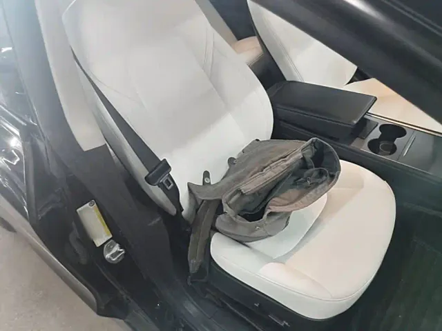 Tesla Model 3 — Фото автомобиля 19