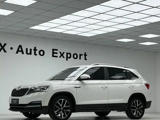 Skoda Kamiq — Фото автомобиля 18