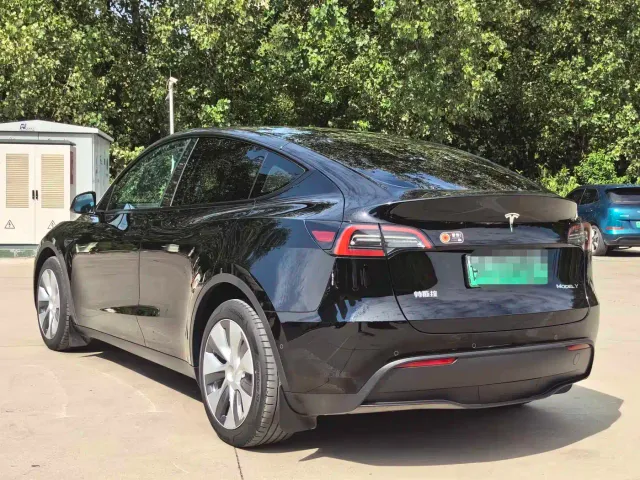 Tesla Model Y — Фото автомобиля 16