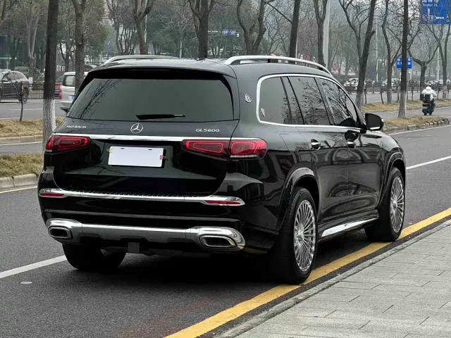 Mercedes-Benz GLS-Class — Фото автомобиля 5