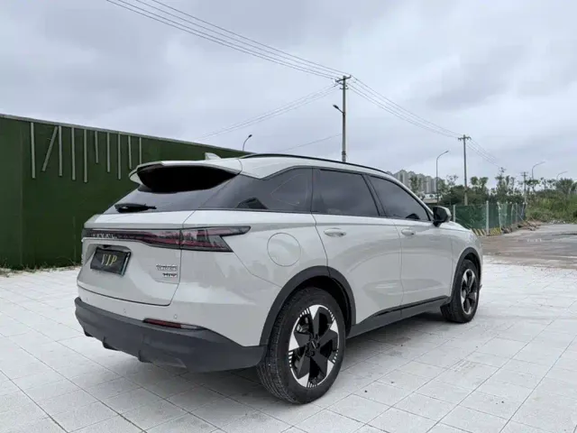 Haval Xiaolong MAX — Фото автомобиля 10