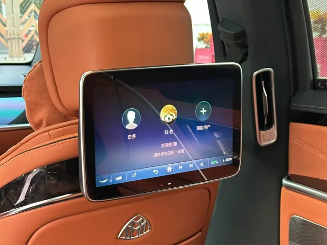 Mercedes-Benz Maybach S-Class — Фото автомобиля 20