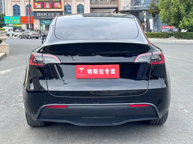 Tesla Model Y — Фото автомобиля 8