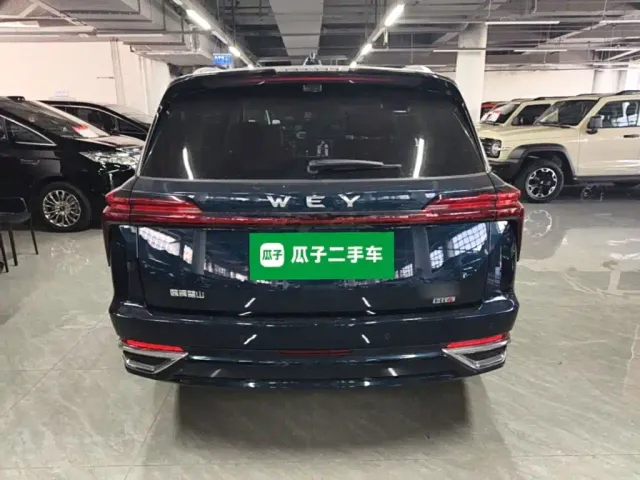 Wey Lanshan — Фото автомобиля 5