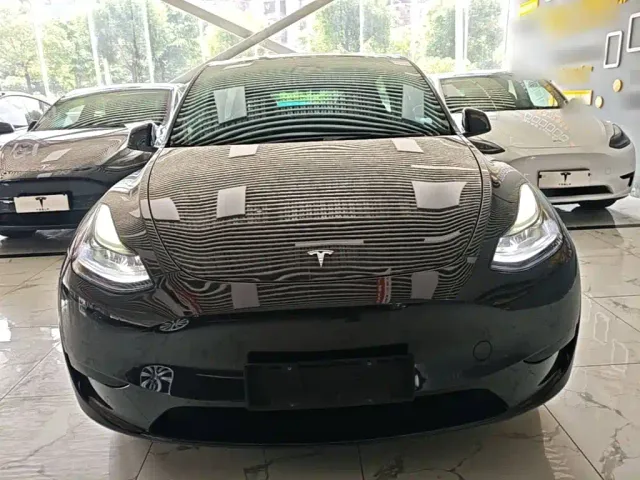 Tesla Model Y — Фото автомобиля 2