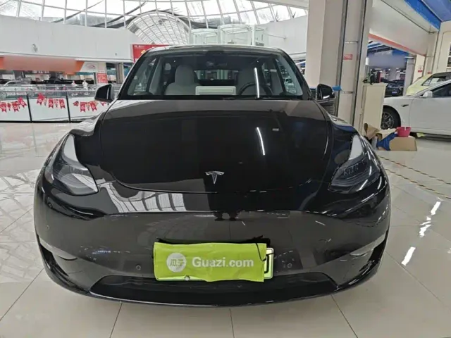 Tesla Model Y — Фото автомобиля 2