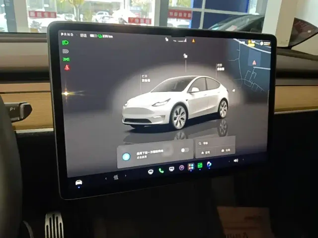 Tesla Model Y — Фото автомобиля 12