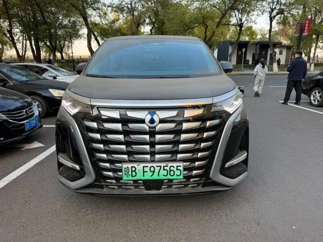 Denza D9 — Фото автомобиля 2