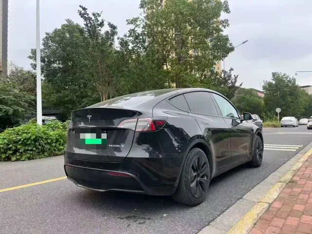 Tesla Model Y — Фото автомобиля 7